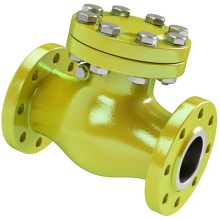 check valve.jpg